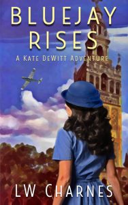 Placeholder cover image for BLUEJAY RISES